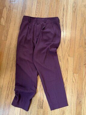 Everlane Burgundy Pleated Trousers